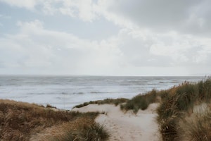 Camber's Corner image 10