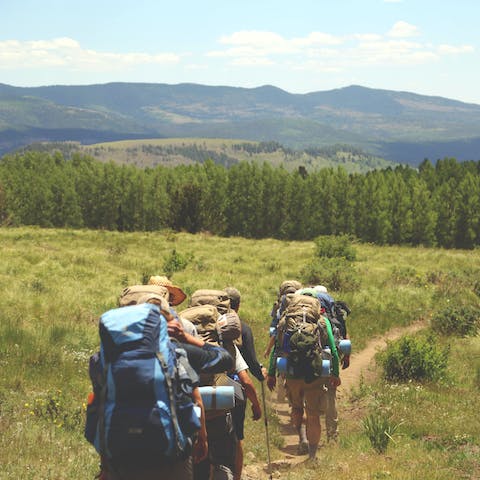 Drive to the nearby North York Moors and trail through the heather and religious ruins