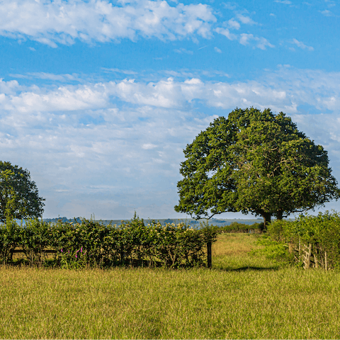 Discover Somerset's countryside from nearby trails, or the Cheddar Gorge four miles away