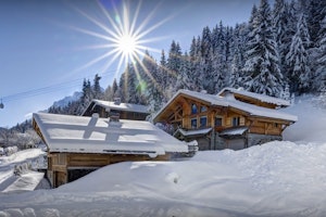 Snow-Kissed Spirit image 7