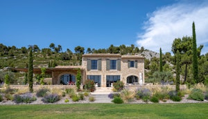 Olive Grove Serene