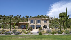 Olive Grove Serene image 13