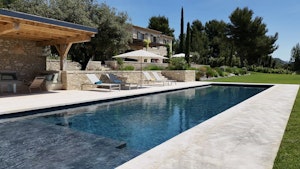 Olive Grove Serene image 9