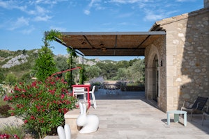 Olive Grove Serene image 7