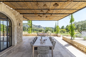 Olive Grove Serene image 4
