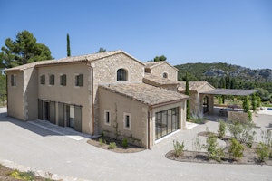 Olive Grove Serene image 3
