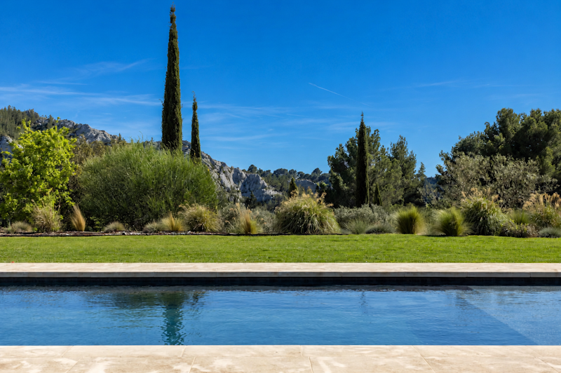 Olive Grove Serene additional image