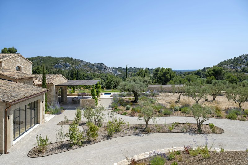 Olive Grove Serene additional image
