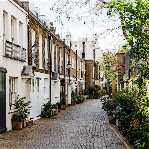 Wander through the delightful streets of Chelsea