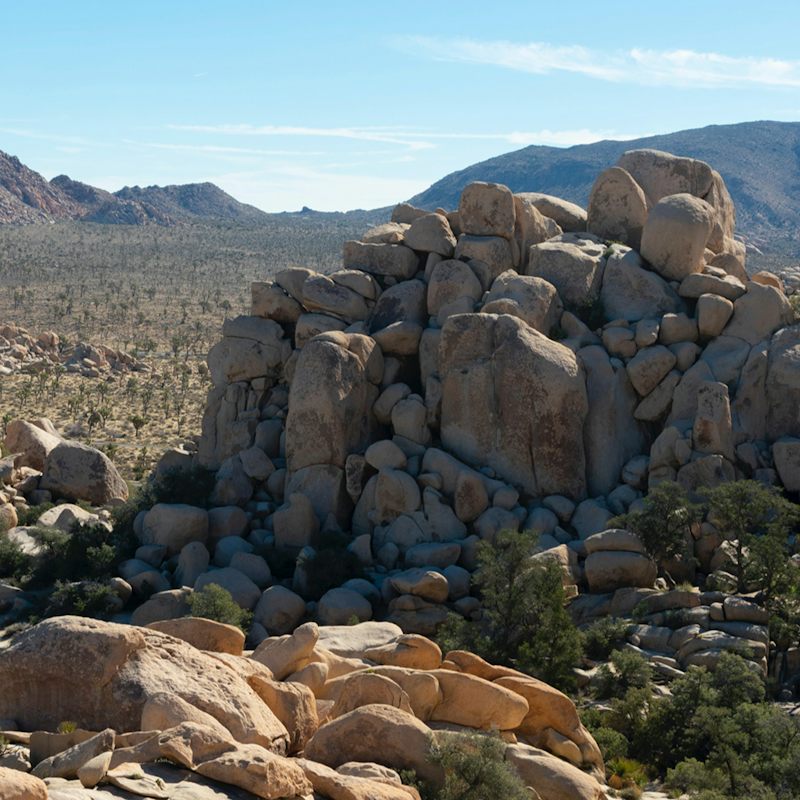 Stay just forty-minutes outside of Joshua Tree National Park