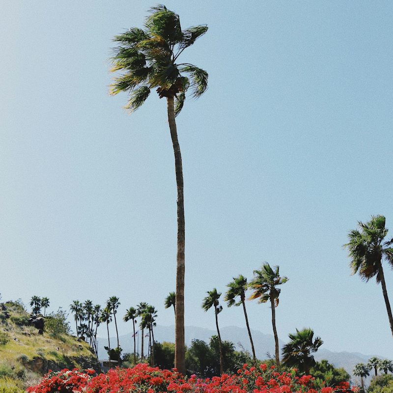 Discover downtown La Quinta – just a ten-minute drive away