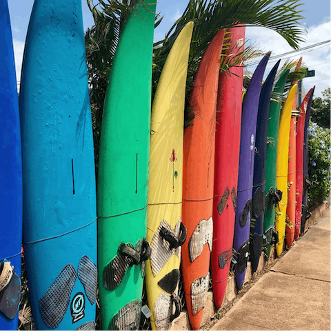 Learn how to surf with a lesson from the local professionals