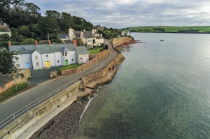 The Blue Nest image 9