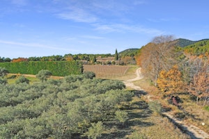 Serene Estate image 7