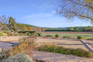 Serene Estate image 4