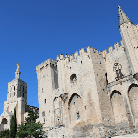 Take a day-trip to Avignon – it's 40km away