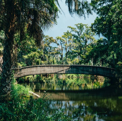 Wander New Orleans City Park – just sixteen minutes away by foot