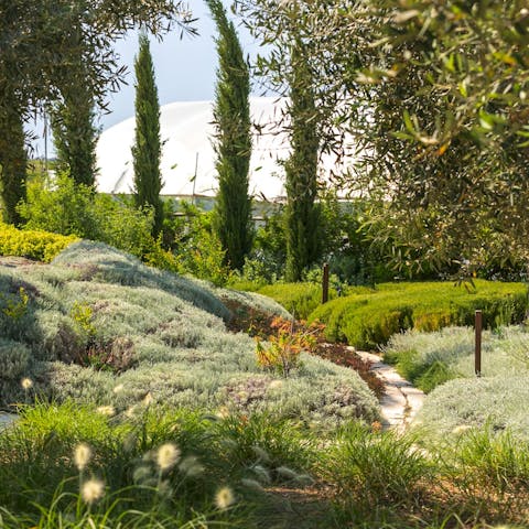 Wander around the gorgeous Mediterranean gardens 