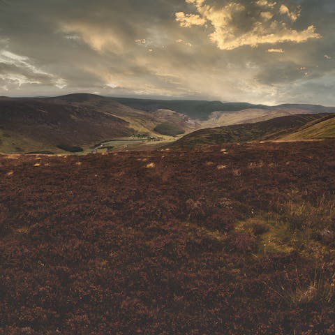 Do some hiking around this 200 acre-estate in Glenshee 