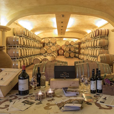 Taste a selection of wines in the estate’s cellars