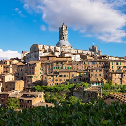 Visit beautiful Siena with its Torre del Mangia and Palazzo Pubblico , a twenty-minute drive away