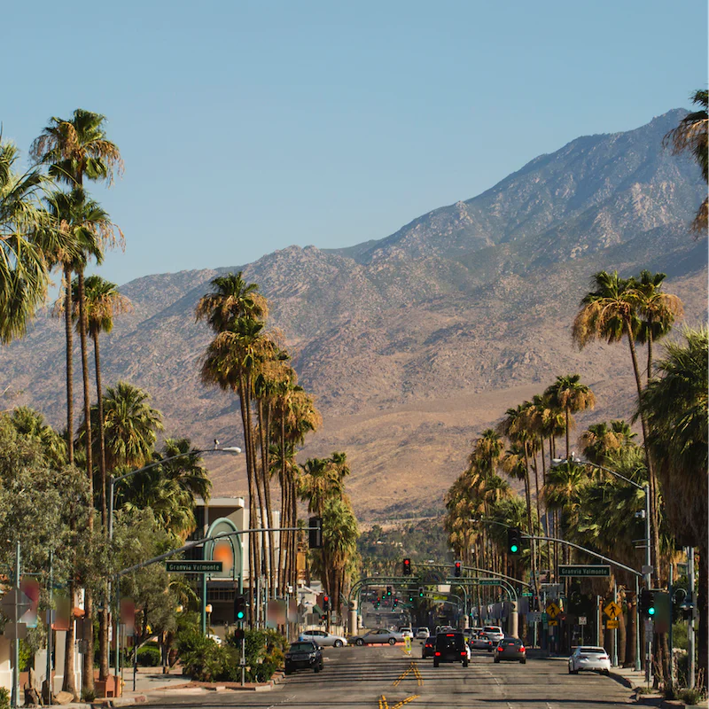 Take a short stroll to the hustle and bustle of Palm Canyon Drive