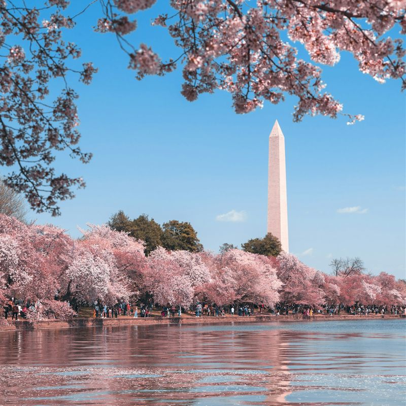 Take the metro into downtown Washington DC and visit all the famous landmarks
