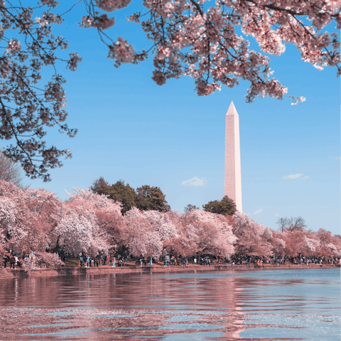 Take the metro into downtown Washington DC and visit all the famous landmarks