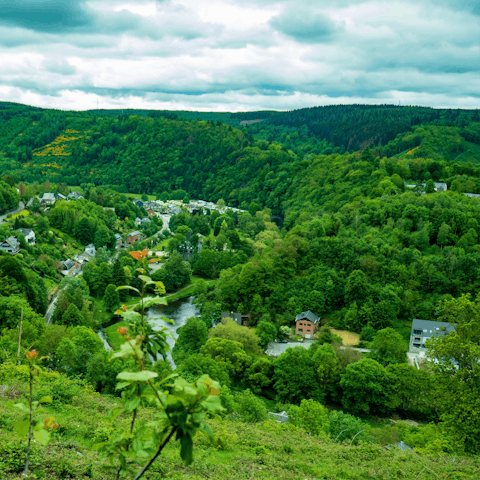 Explore the lush greenery around La Roche-en-Ardenne, a fifty-minute drive away