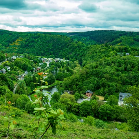 Explore the lush greenery around La Roche-en-Ardenne, a fifty-minute drive away