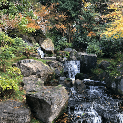 Take long afternoon strolls in Holland Park, a two-minute walk away