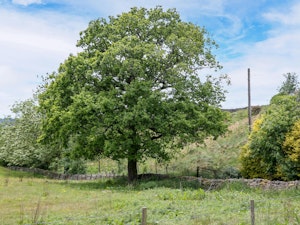 Cheshire Peak image 13
