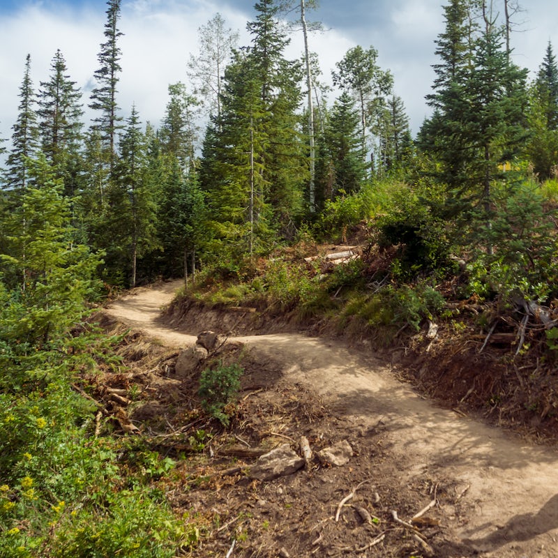 Take to the hiking trails and explore the great outdoors