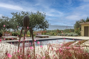 Vaucluse Haven image 13