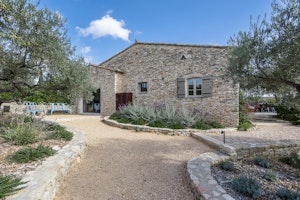 Vaucluse Haven image 7