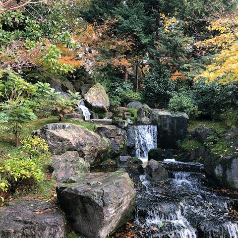 Find a moment's peace by the cascading waterfall at Holland Park's Kyoto Garden 