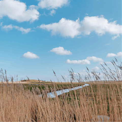 Go for exploratory walks among the Norfolk countryside