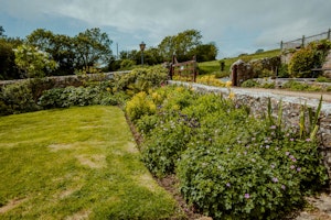A Dorset Dream image 6