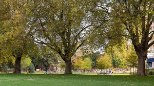 Art Fields image 6