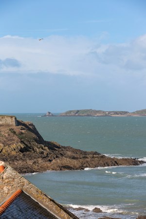 Coquilles Saint-Malo image 4