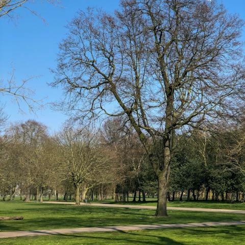 Have a stroll to the lake at the nearby Victoria Park