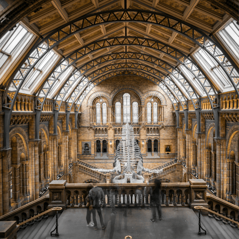 Visit the Natural History Museum, about thirty minutes away