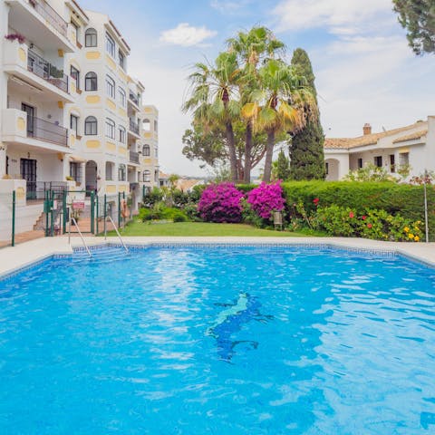 Enjoy refreshing dips in the communal pool 