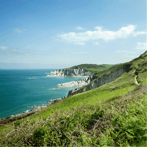 Explore Devon's rugged coastline
