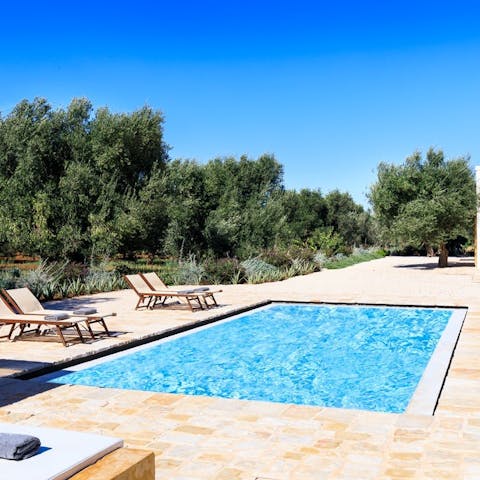 Swim laps in the pool overlooking the olive groves