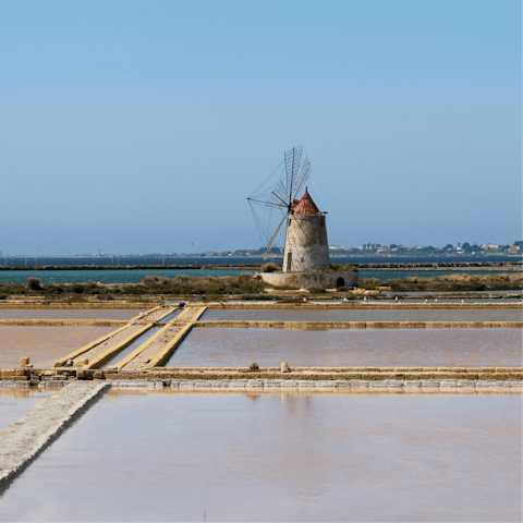 Book a tour of the salt pans at the Riserva Naturale Saline di Trapani e Paceco, a ten-minute drive away