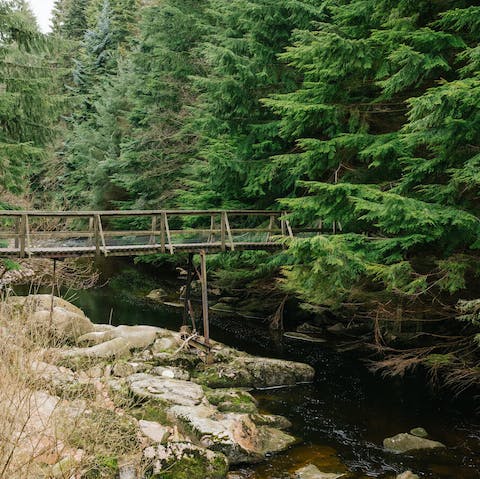 Wind your way down the garden path to discover your private cabin