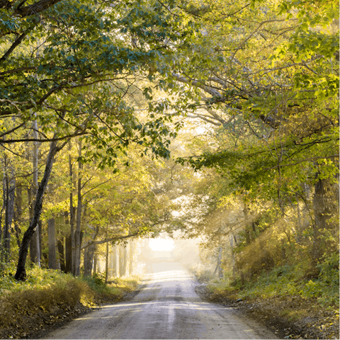 Go for long walks in the surrounding countryside