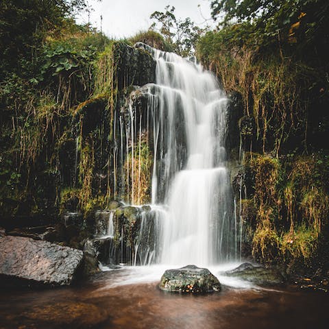 Go for hikes among the beautiful Yorkshire Dales