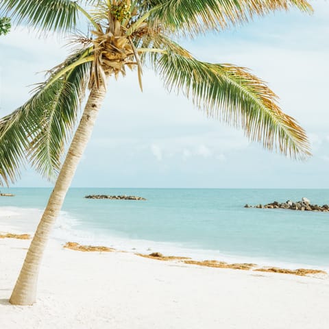 Explore Key West and its historical sights, plethora of eateries, and pristine beaches – you're a short walk away from Higgs Beach